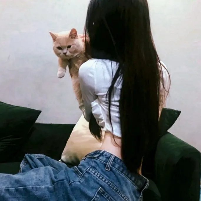 陷阱之中