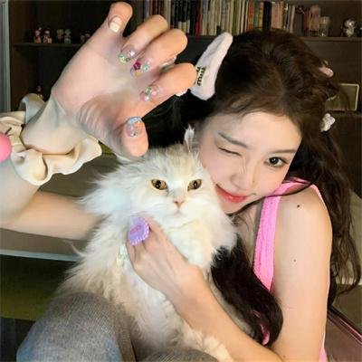 两个伙伴和一只獾